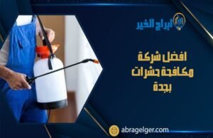 افضل شركة مكافحة حشرات بجدة