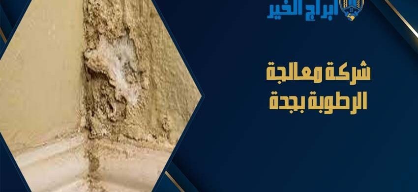 شركة معالجة الرطوبة بجدة